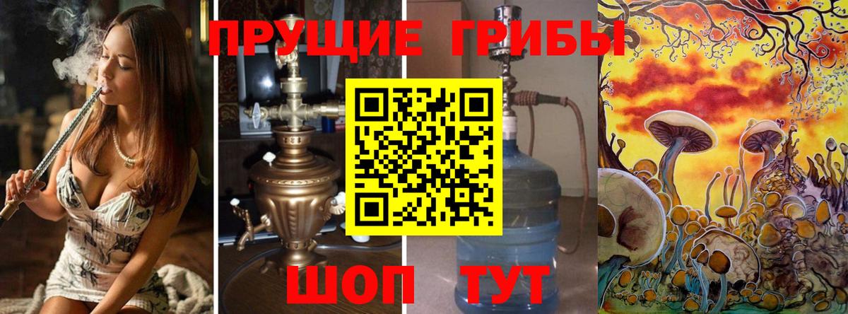 Жуковский  Галлюциногенные грибы MAGIC MUSHROOMS  Вход с VPN  Псилоцибиновые грибы Cubensis 