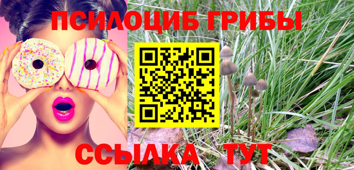 Псилоцибиновые грибы прущие грибы Жуковский